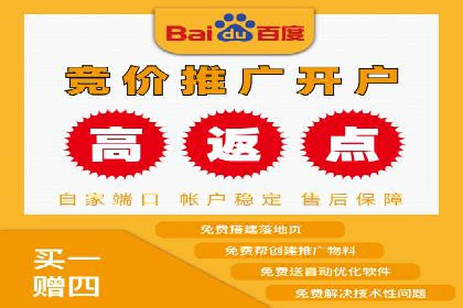百度推广月费投入案例分析